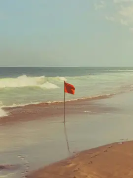 A red warning flag on a pole by the shoreline