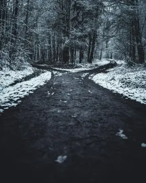 Aerial view of a dirt road splitting into two paths through green trees