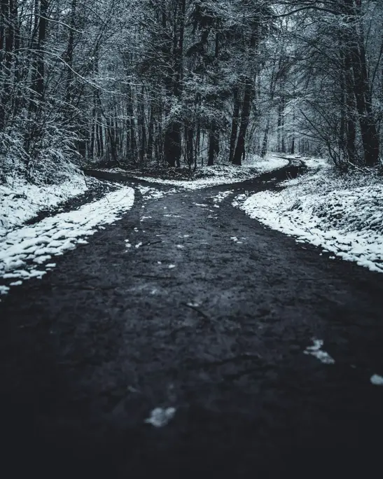 Aerial view of a dirt road splitting into two paths through green trees
